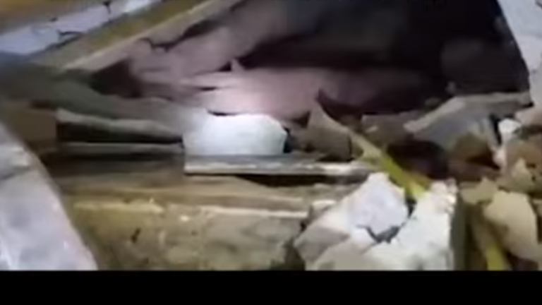 Momenti dramatik kur qytetari flet poshtë rrënojave: Pse s’i kapni t’i ngrini në krah këto?