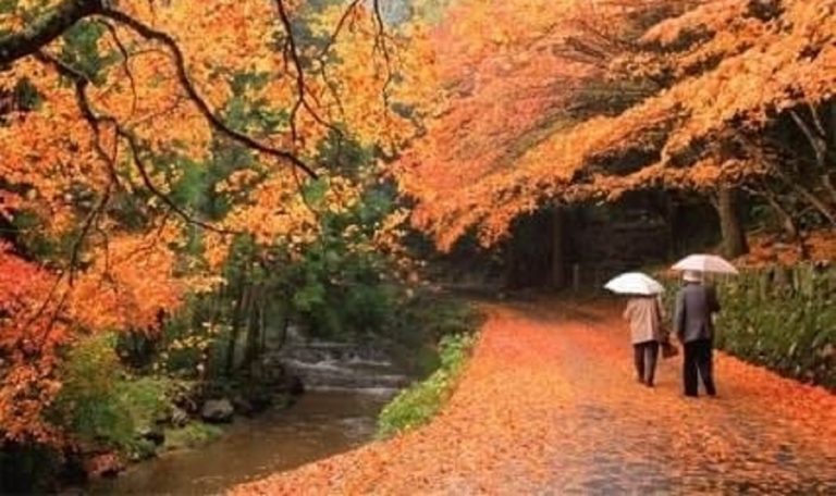 Mos u nisni pa çadër javën që vjen, këto temperatura na presin