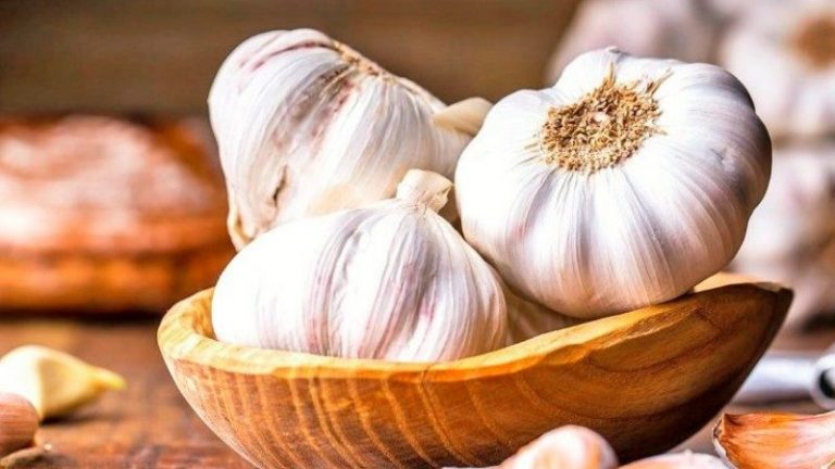 Hudhra, kurë për shumë infeksione