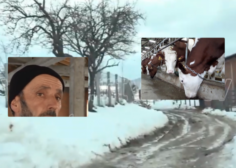 Profesor në shtatë shkolla, punon edhe blegtor