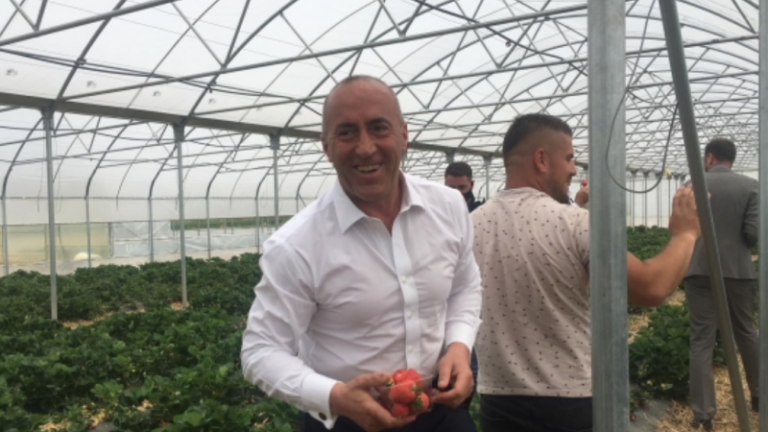 Haradinaj i përgjigjet Kurtit: Opozitë e dështuar është ajo që mbetët gjatë në opozitë