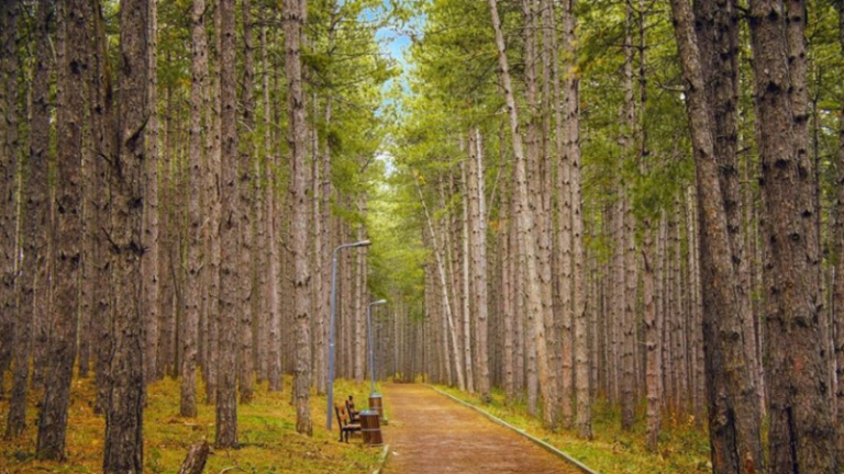 Mot i ndryshueshëm: Në ditët në vazhdim diell por edhe shi