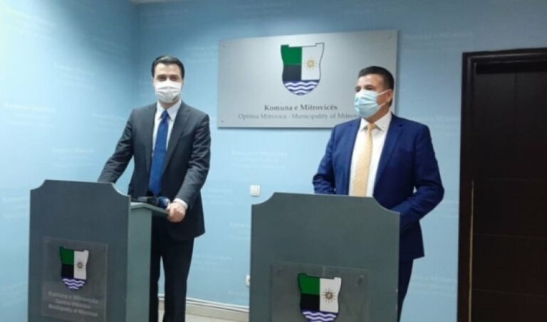 Basha: Mitrovica është kryeqytet i kombit