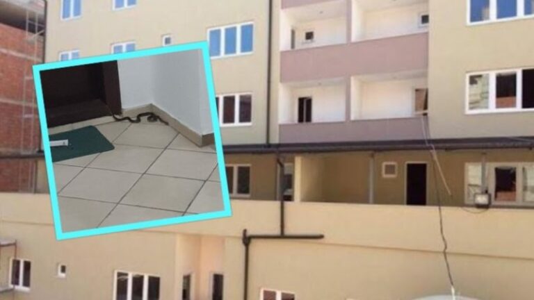 Ndodhë edhe kjo në Vushtrri: Gjarpëri ngjitet në katin e katër të një banese
