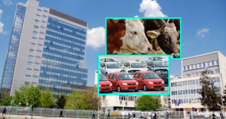 Vendimi i qeverisë: A lejohet tregu i kafshëve dhe i veturave?