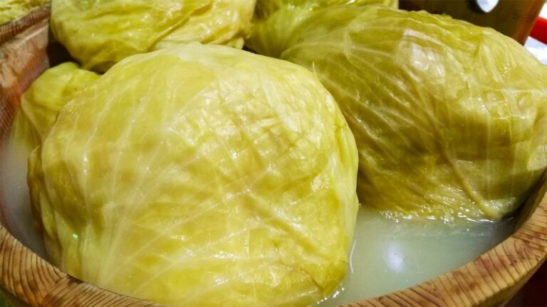 Hani lakra turshi, këto janë përfitimet shëndetësore nga to