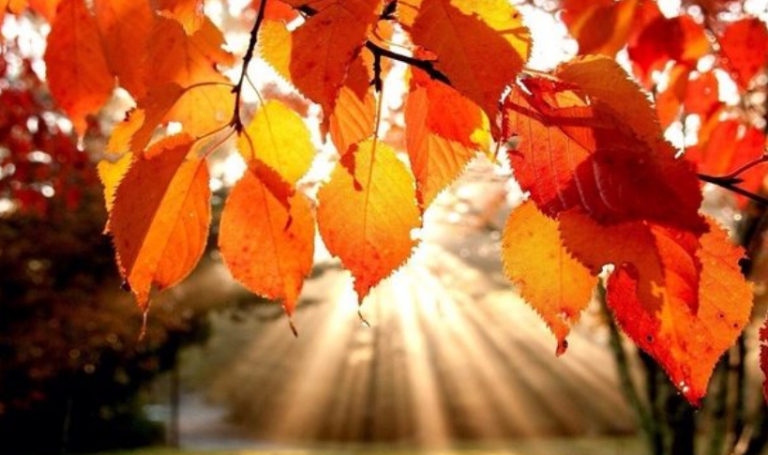 Moti që do të mbizotërojë nesër në Kosovë