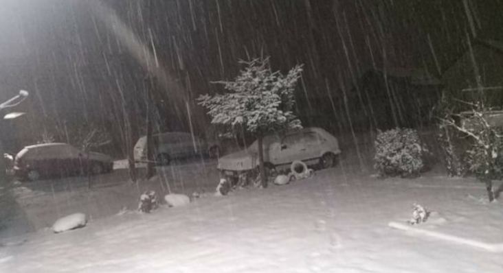 Kosova mbulohet nga bora