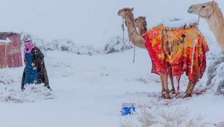 Borë në shkretëtirë, temperaturat në Arabinë Saudite zbresin deri në -2 gradë Celsius