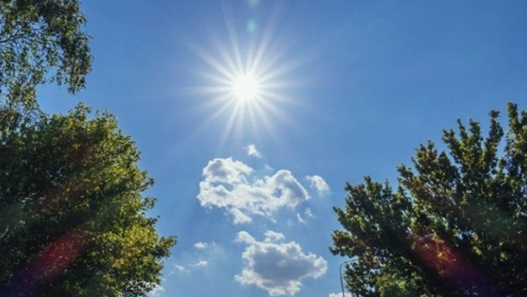 Mot pranveror në javën e fundit të shkurtit, befasojnë temperaturat