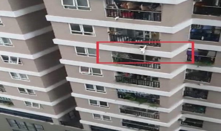 ​Shoferi shpëton foshnjën e rënë nga ballkoni i katit të 12