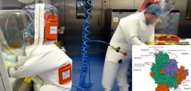 Studimi shokues: Covid-19 nuk u transmetua nga kafshët, u krijua në laborator