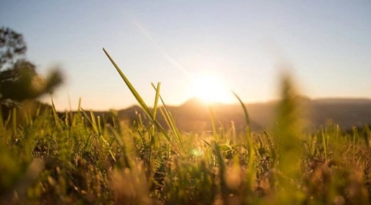 Ky është moti për pesë ditët e ardhshme