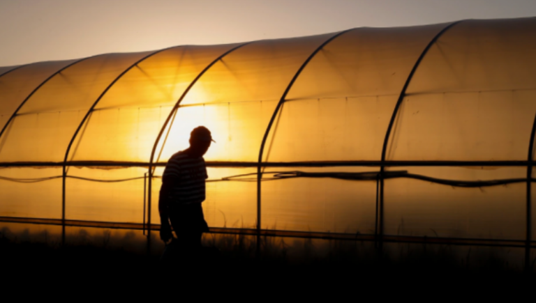 Disa kompani në Kosovë ankohen se nuk po mund të gjejnë punëtorë