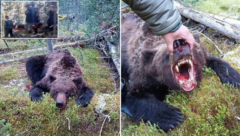 “U hoq si i vdekur”, Ariu vret 16 vjeçarin në Rusi