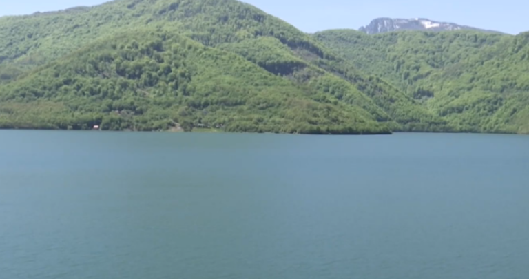 “Propozimi i SHBA’së për Ujmanin nuk është i duhuri”