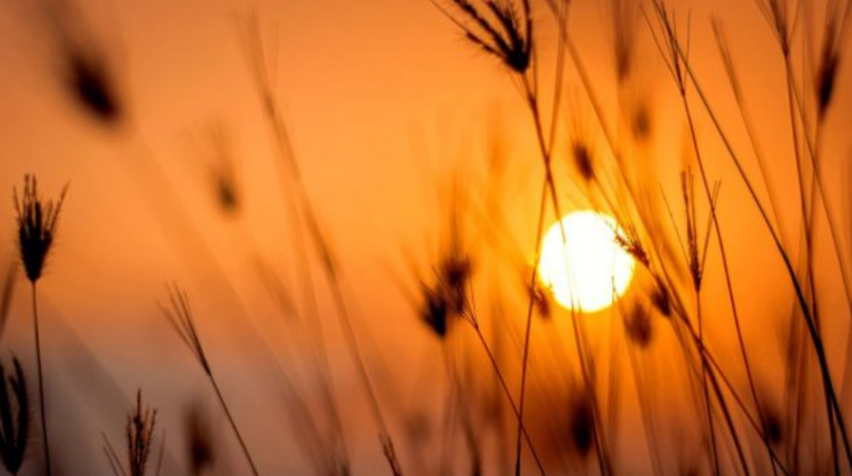 Solstici veror, kur ndodh dhe si ndikon në jetën e njeriut në Tokë