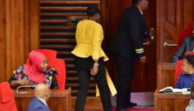 Deputetja dëbohet nga seanca parlamentare pasi kishte veshur pantallona të ngushta