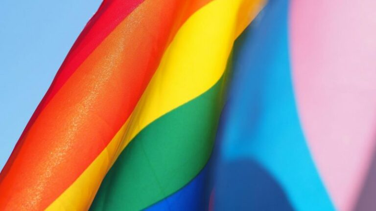 Komuniteti LGBT kërkon heqjen e fjalës “nënë” dhe “baba”