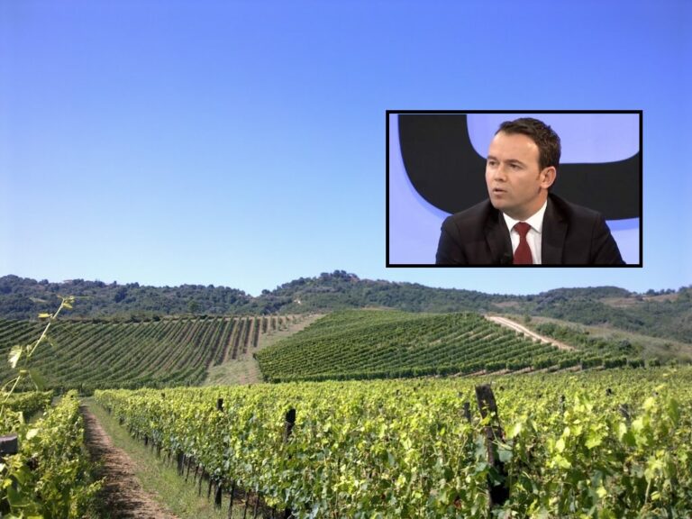 Ministria e Bujqësisë thotë se nuk i ka ulë subvencionet për vreshtarët