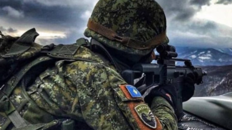 Shqipëria dhe Kosova në mesin e shtatë vendeve në stërvitjen ‘Anadolu-21’