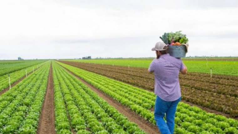 Ndahen mbi një milion euro për kompensimin e dëmeve në bujqësi