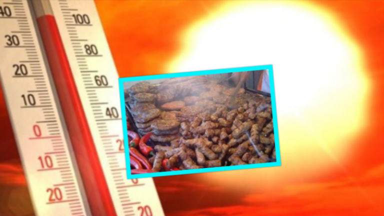 Temperaturat e larta, IKSHPK thirrje qytetarëve të kenë kujdes me ushqimin
