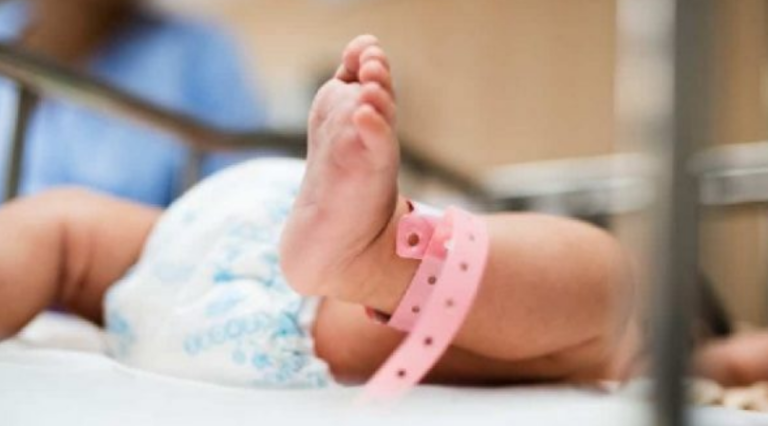 Bie numri i lindjeve në Kosovë