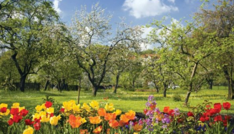 I nxehti afrikan po shkon, ja kur do të fillojnë ditët e freskëta