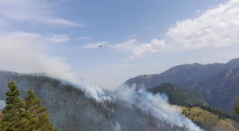 Situatë alarmante në Rugovë: U dogjën më shumë se 80 hektarë pyje