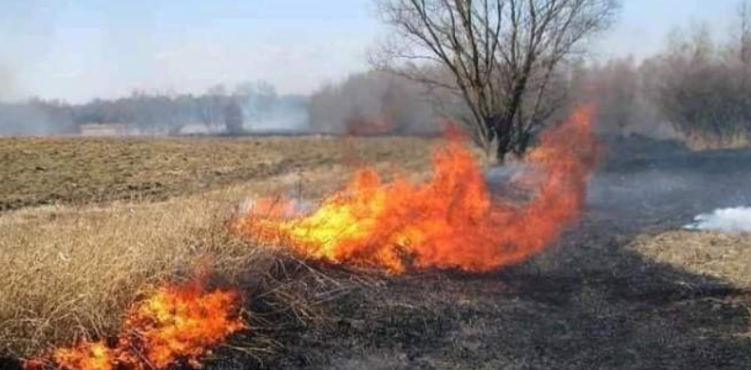 Kosovarët asesi të mbushen mend: Ia vë flakën arës së tij, zjarri përfshin edhe tokën e komshiut