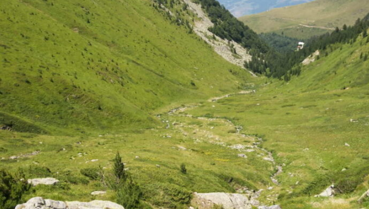 Duke mbledhur boronica rrëshqet dhe bie në një greminë në Prevallë, vdes 29-vjeçari