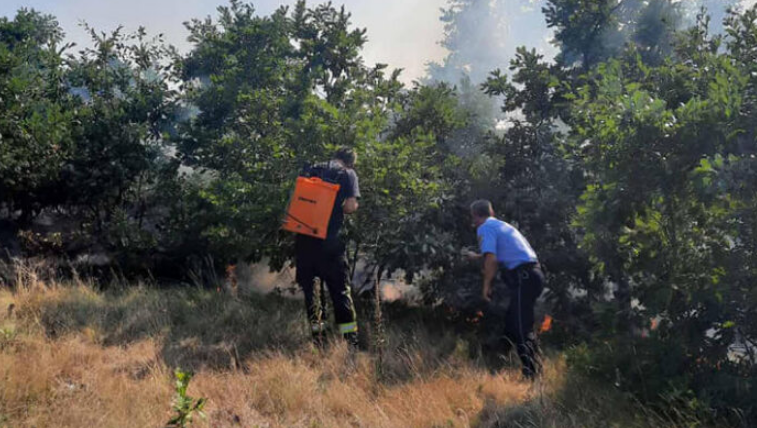 Arrestohet 51-vjeçari në Vushtrri, ndezi zjarrin që dogji 10 hektarë pyje