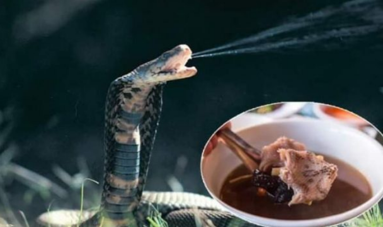 Si është e mundur? Gjarpri i merr jetën kuzhinierit 20 minuta pasi ia preu kokën për ta bërë supë