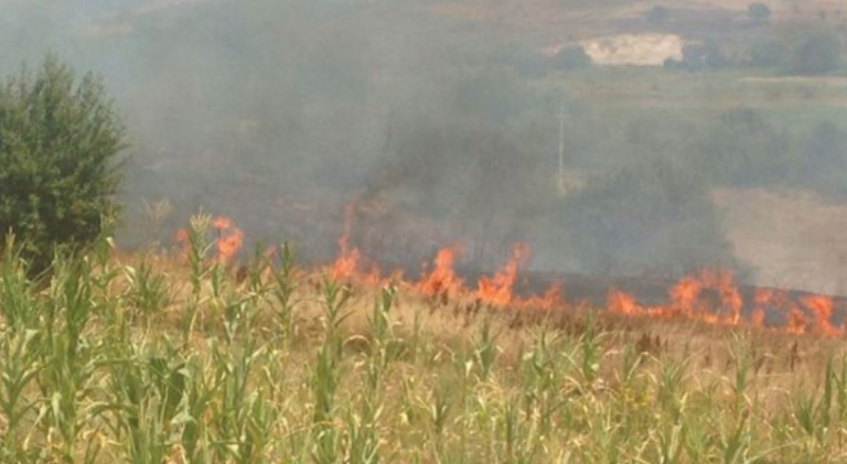 Me kaq vite burgim mund të dënoheni për zjarrvënie të qëllimshme