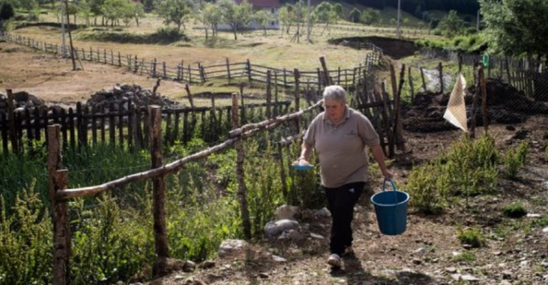 “The New York Times” shkruan për “burrneshat” shqiptare