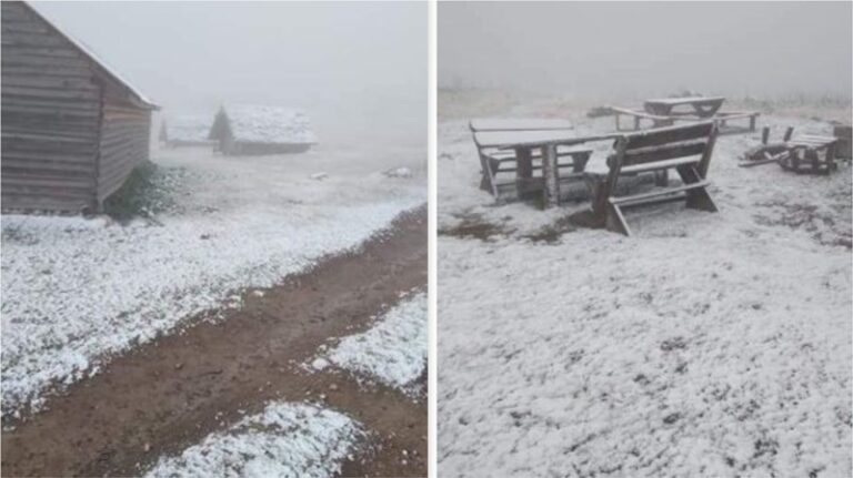 Rugova mbulohet nga bora, këto janë pamjet që vijnë nga atje