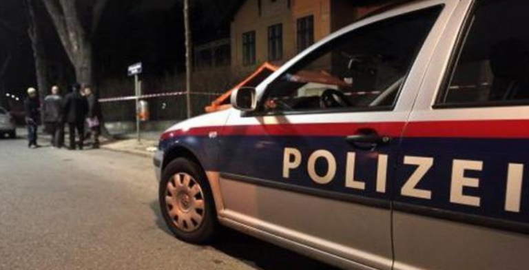 Gjermani dhe shqiptari nga Kosova arrestohen pasi prezantoheshin si policë, përvetësuan 300 mijë euro