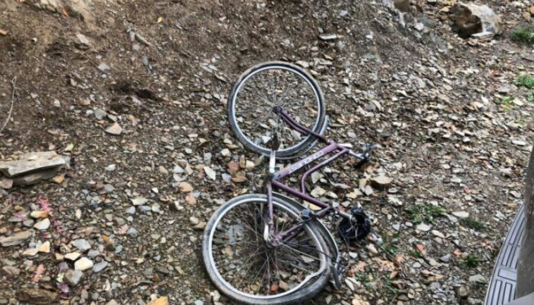 Vrau kushëririn, arsyeja dy kile fasule