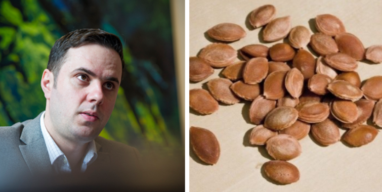 Abdixhiku: Kosova është në krizë energjetike, farat e kumbullave nuk janë zgjidhje