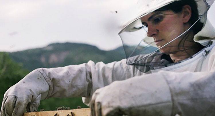 “Zgjoi” shënon suksesin e radhës, fiton çmim në Gjermani