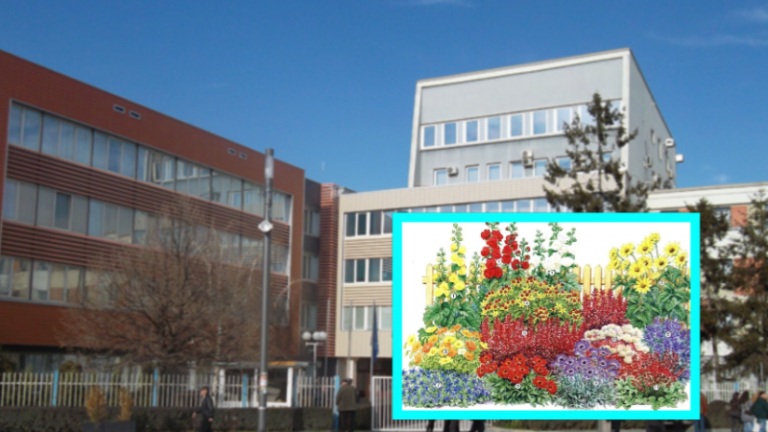 Kuvendi i Kosovës nënshkruan kontratë 30 mijë euro për furnizim me lule