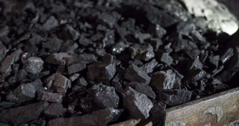 Kosova i shet 130 mijë tonelata thëngjill Maqedonisë