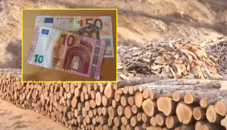 Deri në 60 euro për metër, qytetarët ankohen për çmimin e drunjve