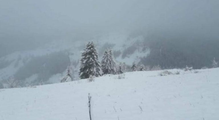 Dy pleq në Rugovë të izoluar nga bora, kërkojnë ndihmë nga komuna