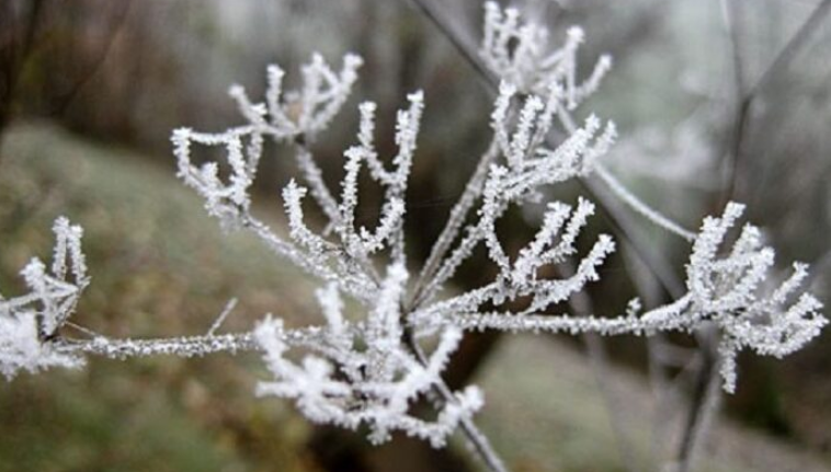 Ftohtë e ngrica, moti për javën e ardhshme