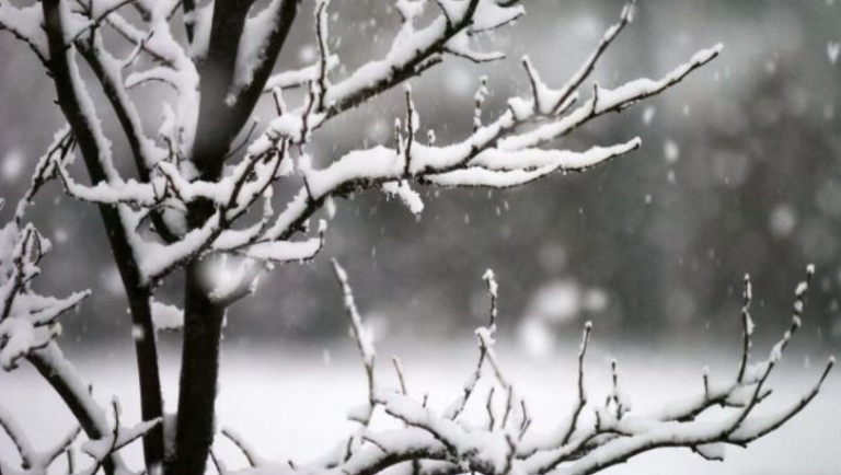 Nga sonte fillojnë reshjet e borës, këto do të jenë temperaturat