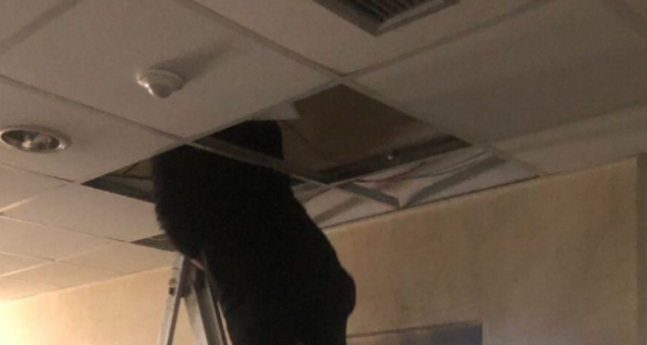 Zyrtarja shtatzënë mbetet e bllokuar për gati një orë ashensorin e Gjykatës së Apelit