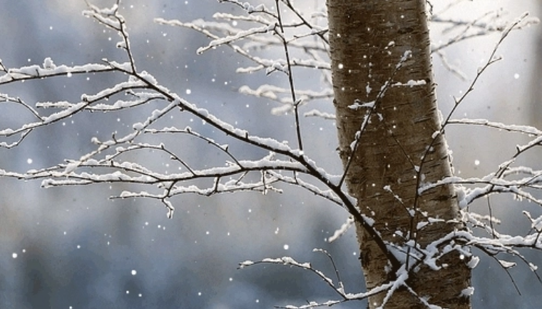 Moti për dy ditët e ardhshme