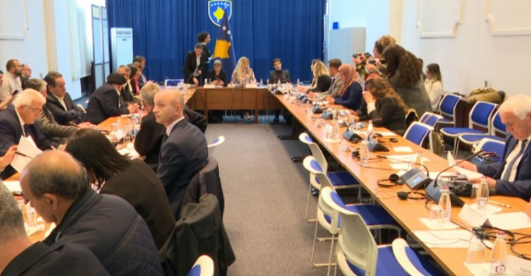 Familjarët e të pagjeturve braktisin mbledhjen pasi filloi të fliste aktivistja serbe Natasha Kandiq